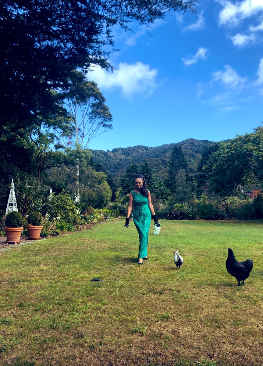 SallyannMoffat's tweet image. Post chicken coop spray down #formalfriday