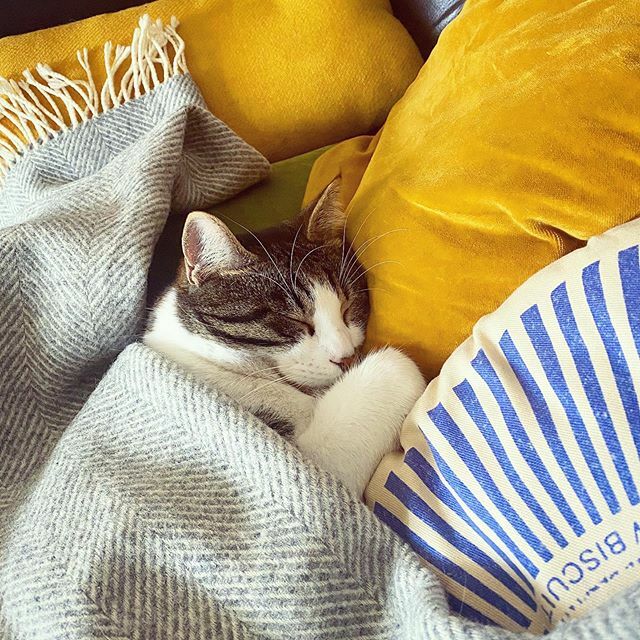 N’night, friends 💛 ift.tt/3dyVu6w