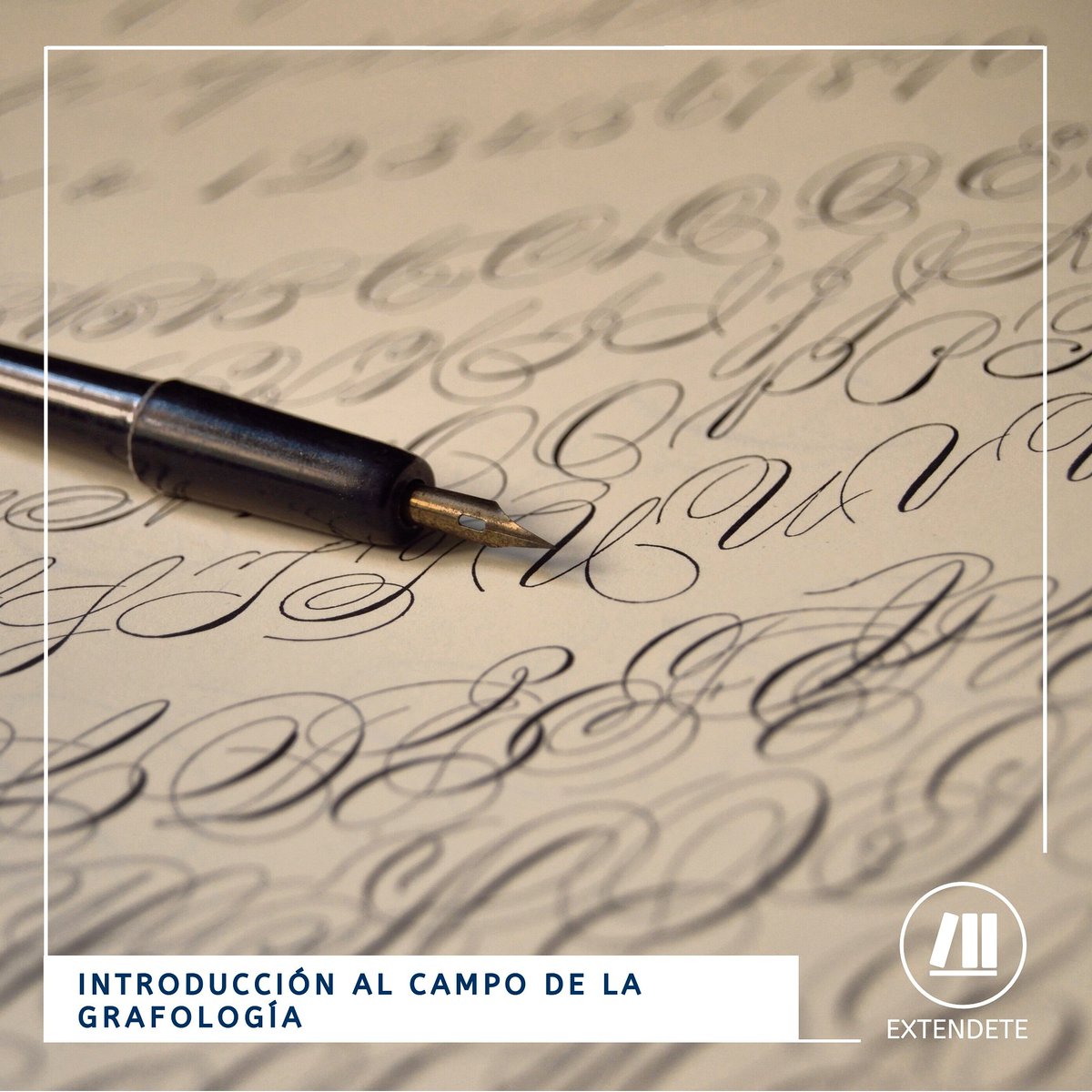 ✒️ INTRODUCCIÓN AL CAMPO DE LA GRAFOLOGÍA.

Aprendé a través de este método a proyectar personalidades y estilos de comportamiento.

Extendete en Grafología 

🕛 Duración:. 6 Clases
⏳ Tiempo: 18 hs
🏠 Modalidad: A confirmar