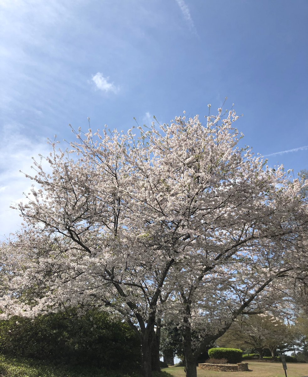 Beautiful day to be outside ☀️