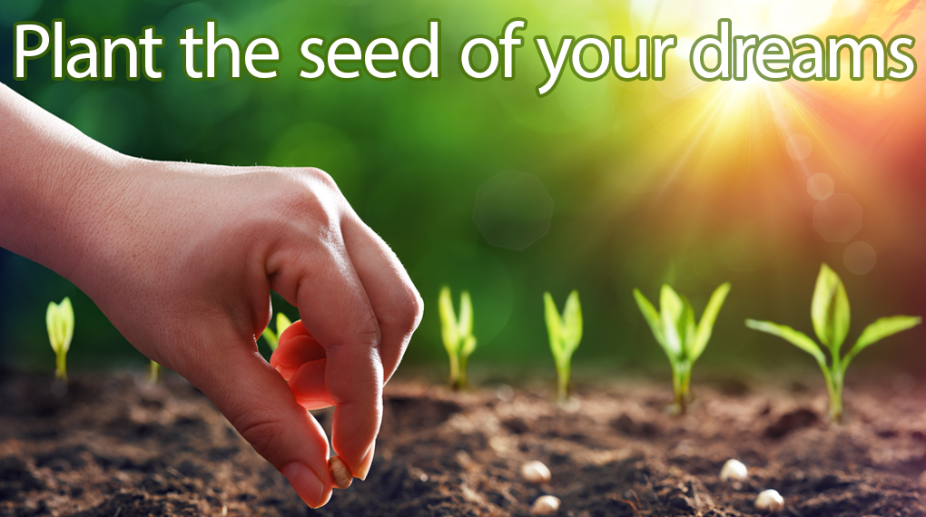 DarrellStern's tweet photo. Plant the #seed of your #dreams and #meditate with us.
#pledgetoearth #earthday🌎 #earthday2020 #earthday50 #earthday50th #earthday50🌎 #earthday50th🌎 #amazonlegacy #savetheamazon #savetheamazonia #amazonrainforest #hopegoesglobal
Sign Up At:
https://t.co/MNXOPRr3BW https://t.co/liJw635OsR