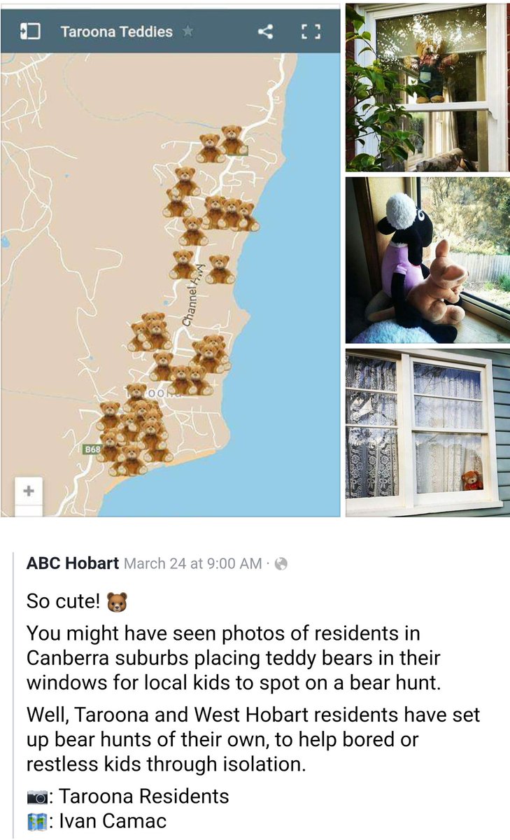 LiSheanToh's tweet photo. Aww too cute. Bear hunt to entertain kids during isolation in Tasmania, Australia. You might like this @Emergency_Teds @MawsonBear @FlynnTheBear #Tasmania #australia #COVID19 #taroona #Hobart https://t.co/jfxa3q5Cpf