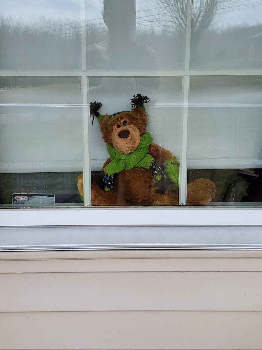 kellymelton1's tweet photo. Muhlenberg County is having a bear hunt.  While families take a leisurely drive, they look for bears in windows or on porches. A safe activity for all. @AndyBeshearKY @GovAndyBeshear 
#TeamKentucky 
#Patriot 
#HealthyAtHome 
#TogetherKy https://t.co/kMXO6D6u9K