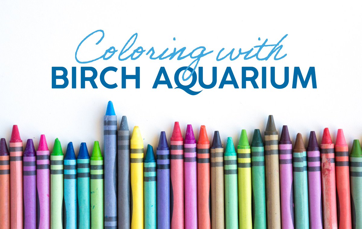 Embrace your inner artist with  @Birch_Aquarium's new coloring pages. Learn a fact about our ocean world & decompress while you (or the kids) create a masterpiece. Download here:  https://bit.ly/BAScoloringpages  Tag  @Birch_Aquarium with your completed work!  #ColoringWithBirchAquarium