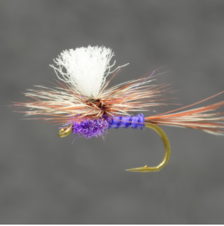 TroutUnlimited's tweet photo. The #PurpleHaze or the #CopperJohn? You decide when you vote in the TU-@loonoutdoors #SpringFlyShowdown. Vote and win fly-tying gear! https://t.co/7fcvCXlSkM https://t.co/Psgc38iRAk
