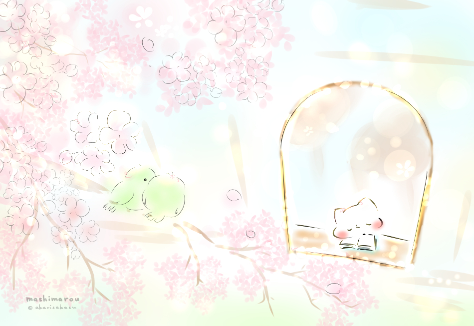 「「桜色の夢」
今日は、さくらの日だそうです。
#ましまろう 
#さくらの日 」|灯さかす@DF両日B-352&ねこ休み展&ロフトPOP BOXのイラスト