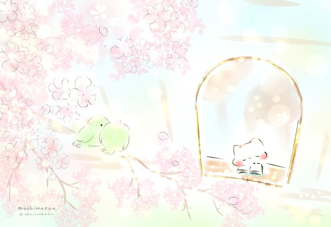 「桜色の夢」
今日は、さくらの日だそうです。
#ましまろう 
#さくらの日 