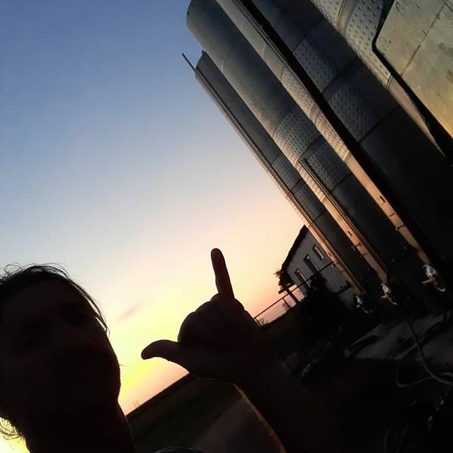 Último día de vendimia. Gran vendimia en Uruguay que quedara en los libros de historia, no solo por la calidad de los vinos sino también por ser la primer vendimia en cuarentena de la era moderna. Salud! El.vino ha estado aqui por 6000 años y seguirá sie… ift.tt/2xoeGn8