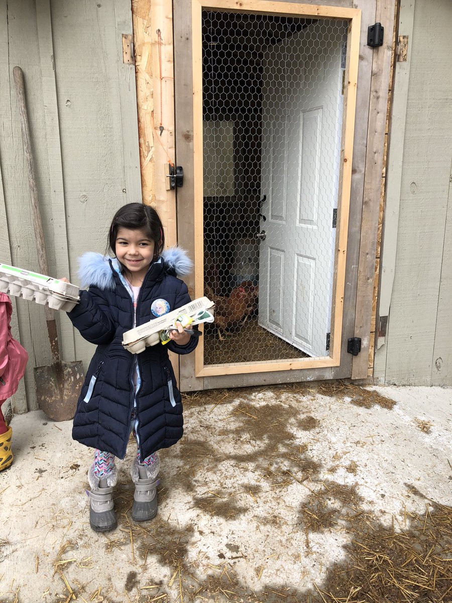 SensoCyn's tweet photo. @kinder_room102 It was nice out so we went to visit our chickens today! https://t.co/xO7TK9Febd