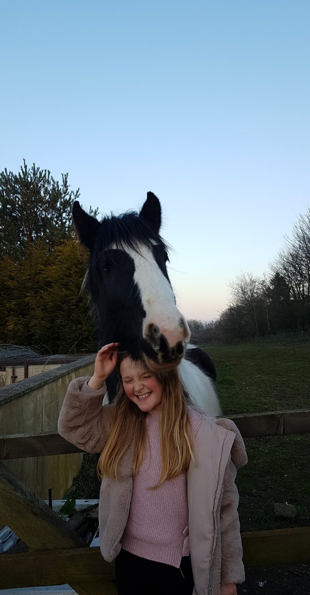 LordSmythe's tweet photo. Quality time out early evening in the company of my granddaughter #PrincessHarriet as we walked my Lenny Blue and her Crazy Cara #greyhounds and meeting the neighbourly horse - it was as if everything was alright with the world #coronavirus #COVID19 https://t.co/d1T2c8FVEf