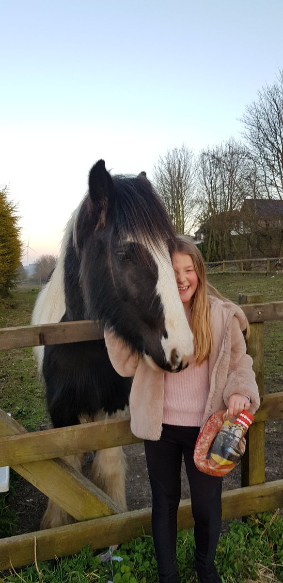 LordSmythe's tweet photo. Quality time out early evening in the company of my granddaughter #PrincessHarriet as we walked my Lenny Blue and her Crazy Cara #greyhounds and meeting the neighbourly horse - it was as if everything was alright with the world #coronavirus #COVID19 https://t.co/d1T2c8FVEf
