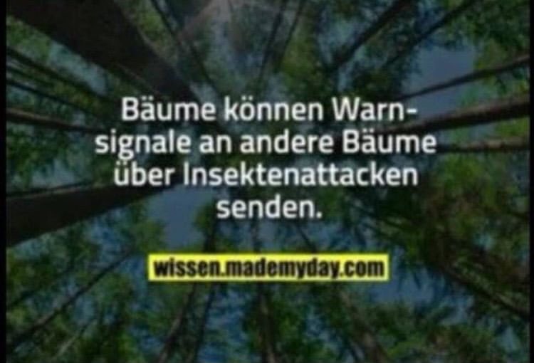 mokoffiziell tweet picture