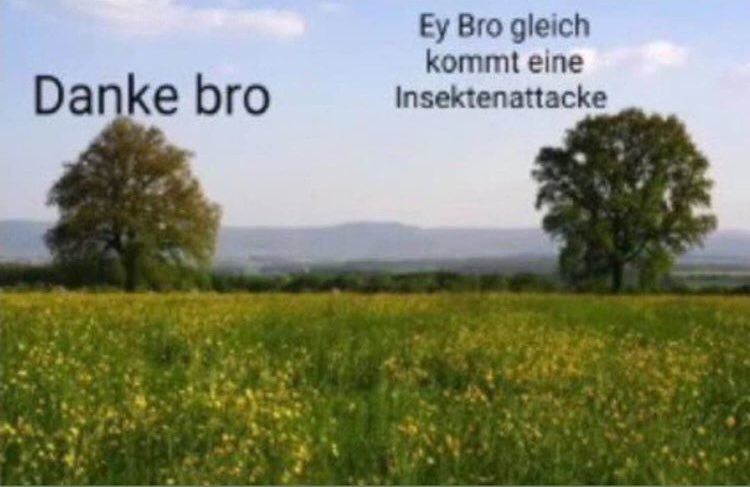 mokoffiziell tweet picture