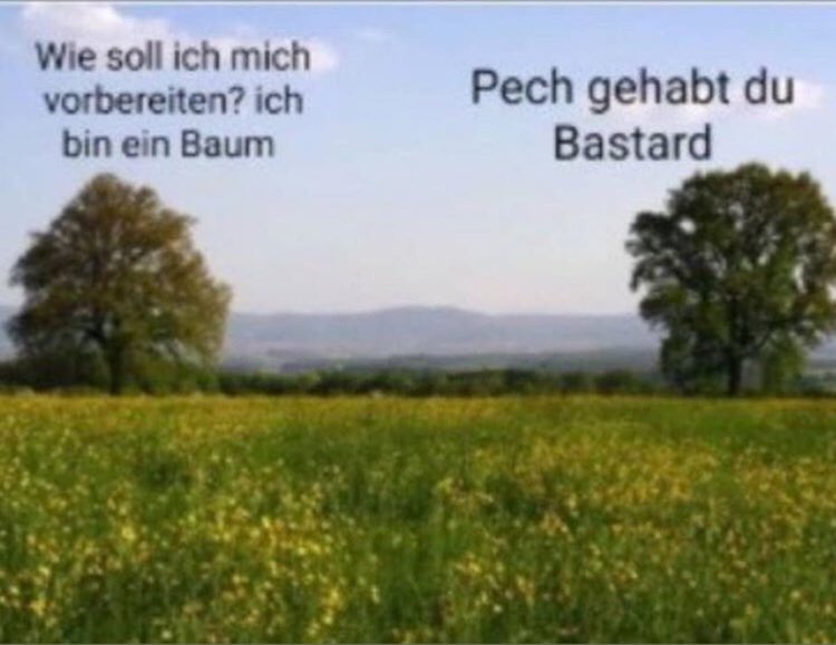 mokoffiziell tweet picture