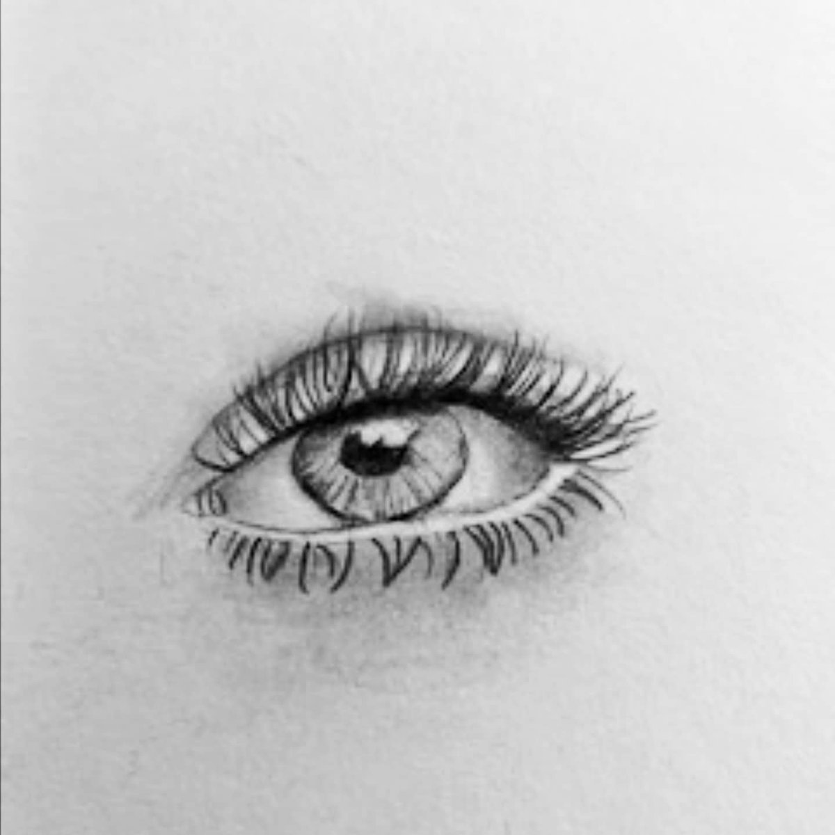 CaptainCoody's tweet photo. Awesome job Colbi! Two more art assignments. Colbi wrote that she drew an eye because she loves eyes, it's the first thing she looks at when she looks at someone. 💚 https://t.co/R7o31N1N7T