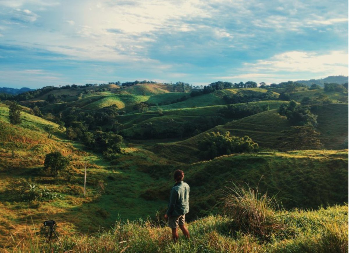 localguestpr's tweet image. Sending our love from our home to yours... #LocalGuest #COVID19 
ow.ly/Rgws50yX1Fz