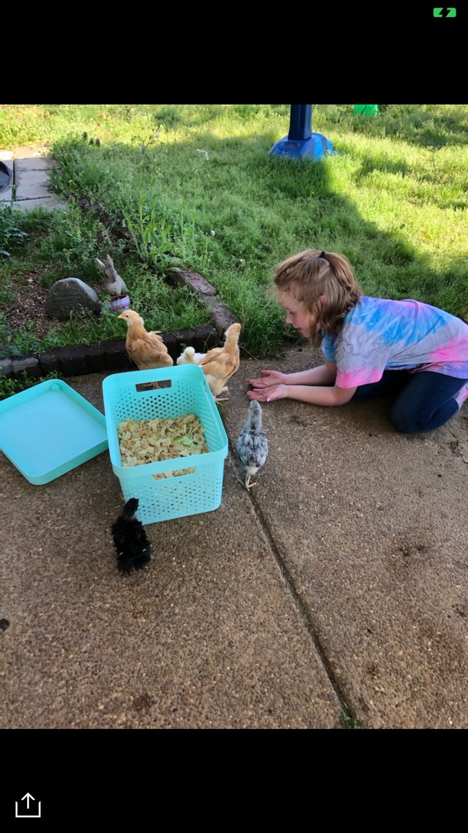 bradybrainiacs's tweet photo. The only assignment my students had today was to enjoy the sunshine! I followed my own directions too!!! @bradybrainiacs @OESrockSTARS @suptking https://t.co/nEh3qqb46J