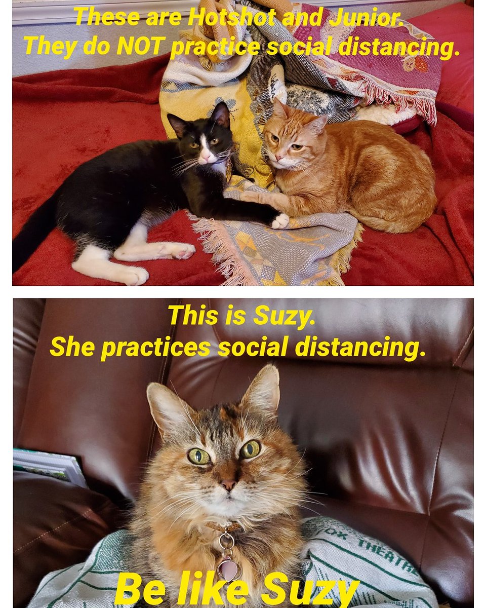 #socialdistancing #COVID #coronavirus #PSA #smallactsofkindness #savelives