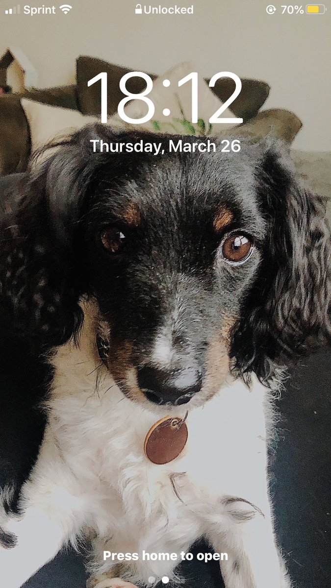 ravenbentley97's tweet photo. Jade tagged me in this so I guess I have to do it...
@jpliwag 

Expose yourself!
1. Lockscreen 
2. Homescreen
3. Last song you listened to 
4. 18th pic in your camera roll
5. @hlsisler your turn lol https://t.co/NSu5Xx9ysl