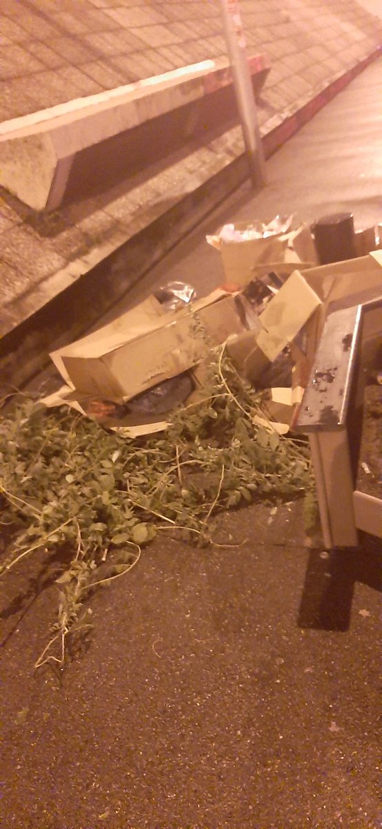 Thread photo sur le néant car je n& #39;ai rien à dire. Les photos sont de moi.
