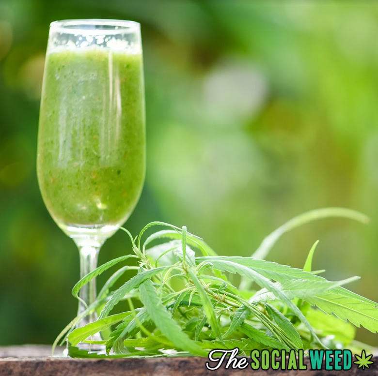 National Spinach Day would normally be a day most people would want to avoid. Well not today! Check out this healthy juice which includes spinach and feel the benefits that juicing can offer! thesocialweed.com/recipes/mean-g…

#TheSocialWeed #LetsGetSocial #ThirstyThursday