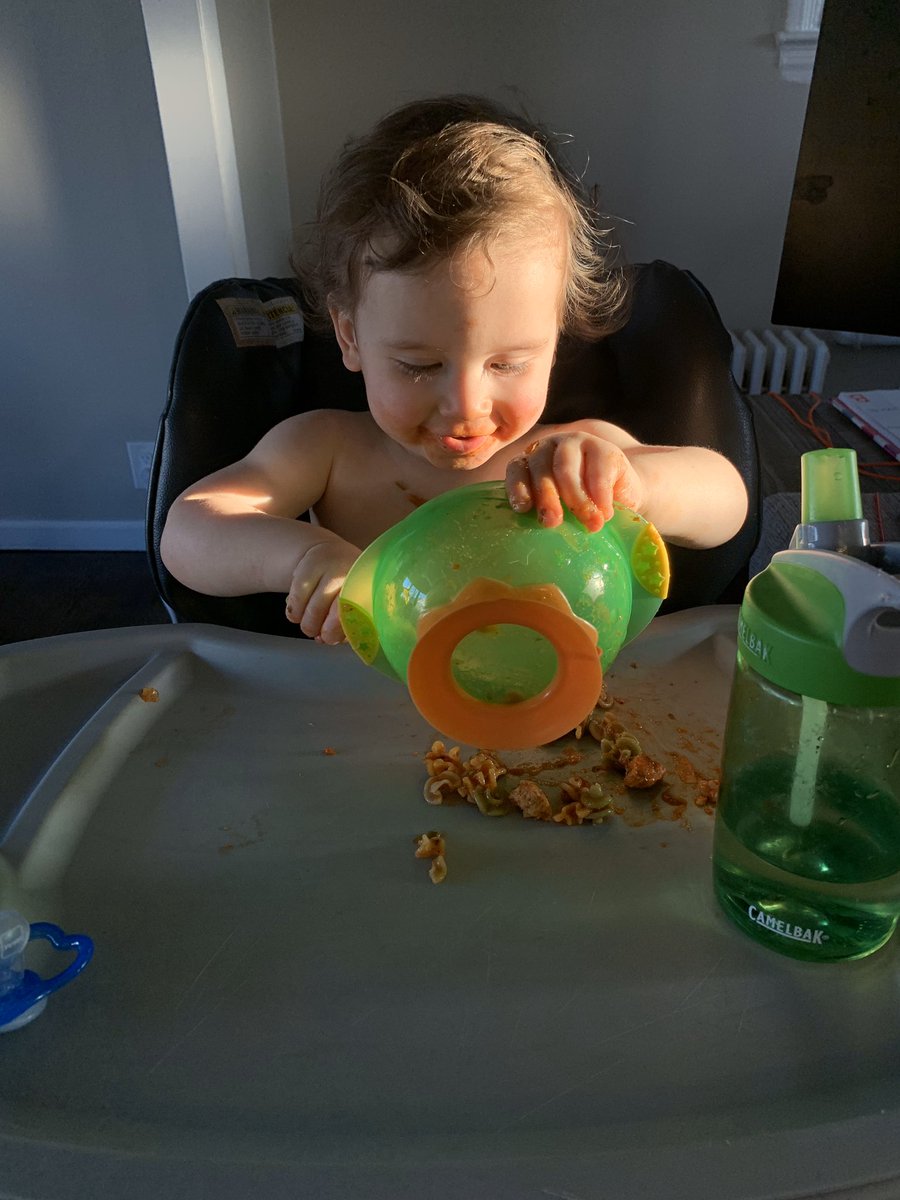 Tmeara27's tweet photo. Day 11 (jack eats pasta): Pour pasta out of the bowl. Eat Pasta. Applaud myself. H/T to the photog @brittanymeara #QuarantineLife https://t.co/Hrr6nBNjg1