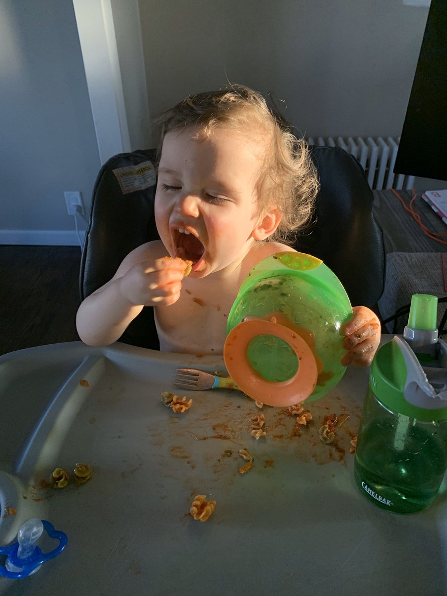 Tmeara27's tweet photo. Day 11 (jack eats pasta): Pour pasta out of the bowl. Eat Pasta. Applaud myself. H/T to the photog @brittanymeara #QuarantineLife https://t.co/Hrr6nBNjg1