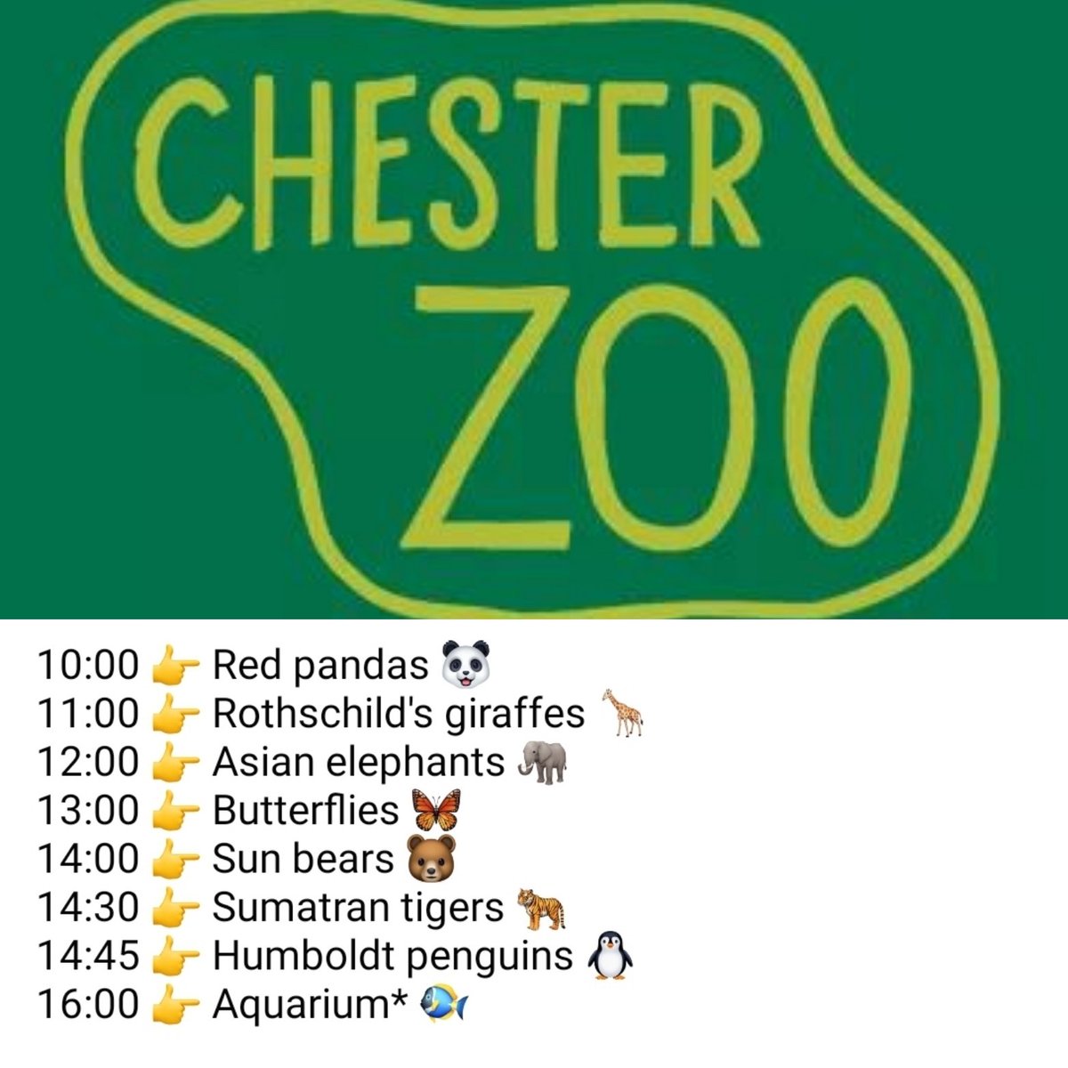 SilverdaleNT's tweet photo. Pupils might enjoy watching this - live footage from Chester Zoo throughout Friday (27/03/20). You can watch at https://t.co/14hUeoPRPQ
Afterwards, pupils could research and create a project around zoos, their history, their purpose and fact files on the animals they get to see. https://t.co/dQFfkJacKD
