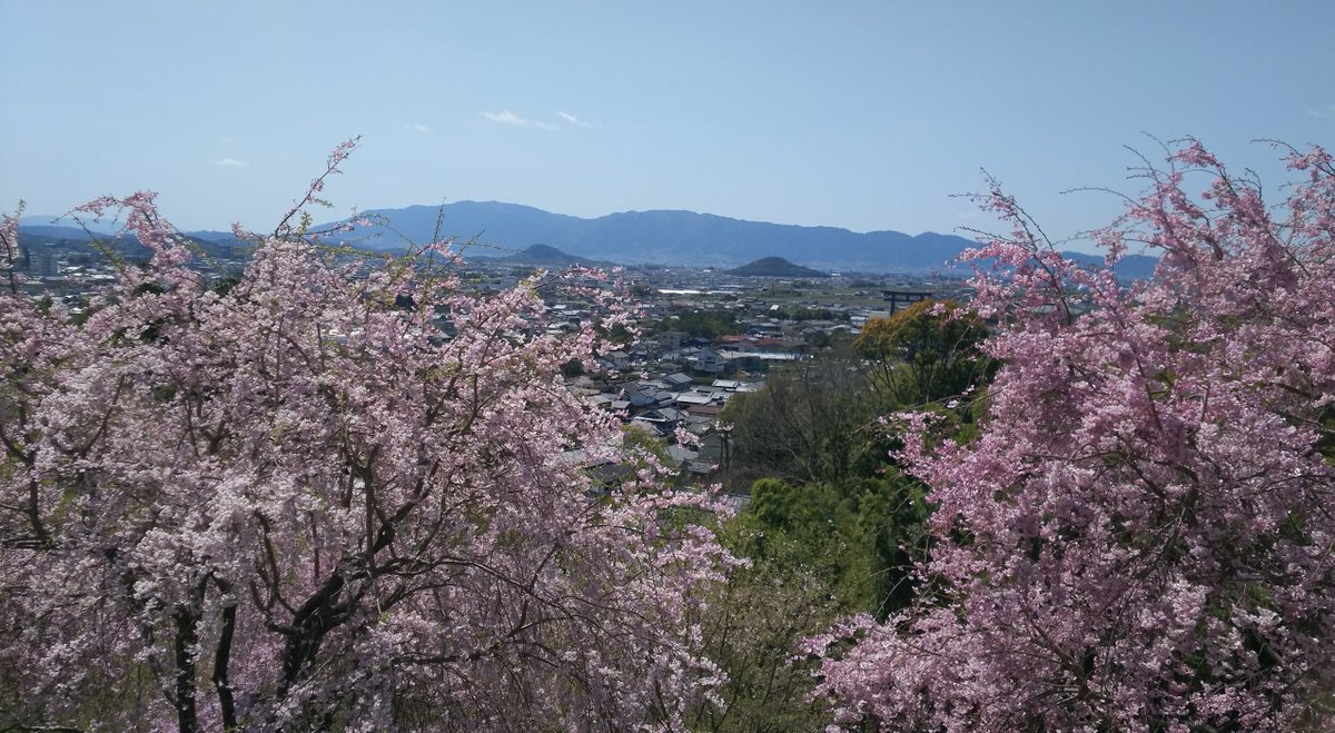 magora_taisho photo