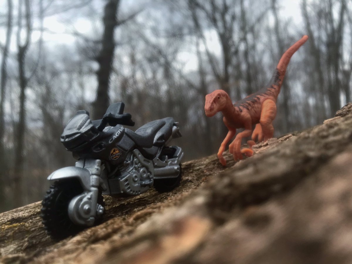 Fossil_Box's tweet image. The year is 1998.
Lost World toys featuring a dinosaur/vehicle combo have arrived at the local toy store.
You can pick 3. 
Which do you pick? (See thread for all sets.)