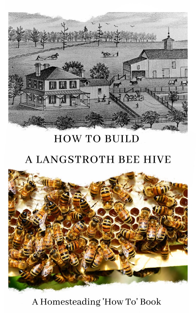 Looking for a project while waiting for bee season to take off?
You CAN do this!
Save serious money by building your own beehives!
Read it free with Amazon Unlimited
amzn.to/2UH0ZY6
#bees #beekeeping #diy #wood #woodworkers