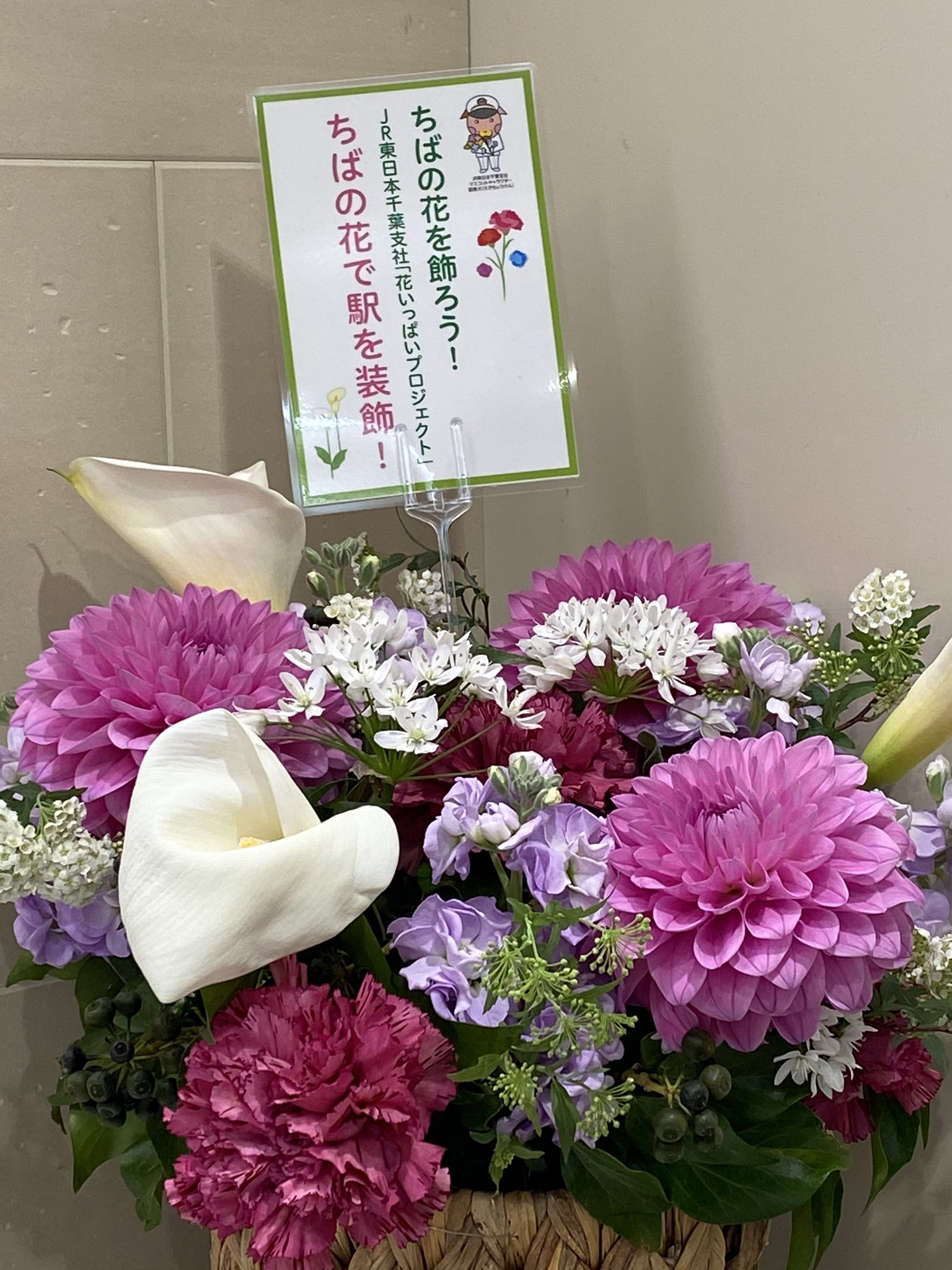 花香 Kaka Jr本八幡駅構内のwcに思いやりあふれるお花たちが 花の仕事をしていてる身としては泣けるほど嬉しい 元気をもらいました 今日も頑張ろう 本八幡 本八幡駅 花で彩る 千葉の花 お花の力 Kaka T Co Tgufyav8pb Twitter