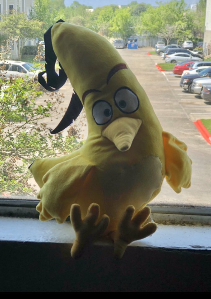 Today we shared our teddy bears! So cute! <a href="/MorenoMustangs/">Joe E. Moreno ES</a> @daisyguedea