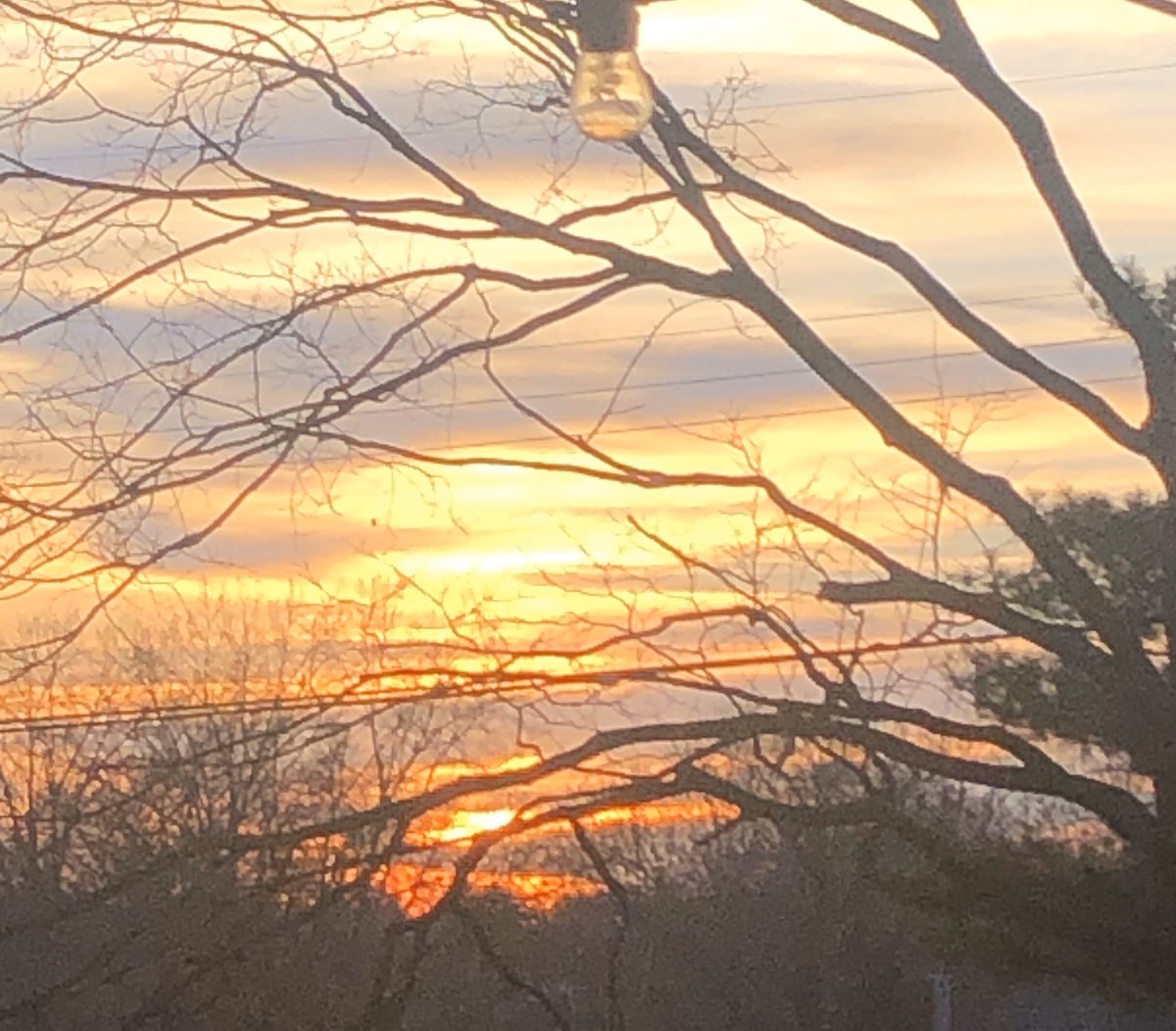 SARAH REECE (@SARAHREECE13) | Twitter