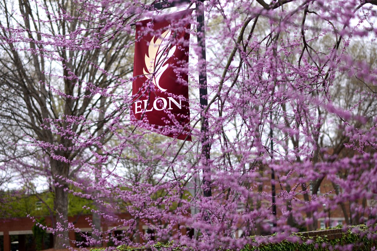 elonuniversity's tweet photo. Wherever you are in the world right now, here are a few small reminders of where you bELONg. https://t.co/v56lG390ZL