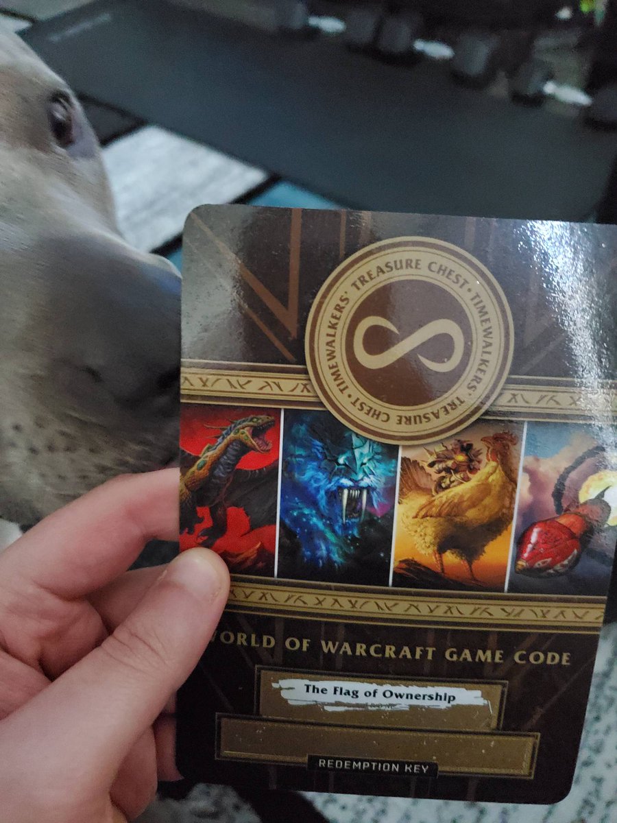 towelthetank's tweet photo. Good evening Hammer Squad! RETWEET AND FOLLOW for a chance to win this Flag of Ownership code! Tonight is a 24HR stream looking to start around 2/3am PST. https://t.co/mmkBht2DwC