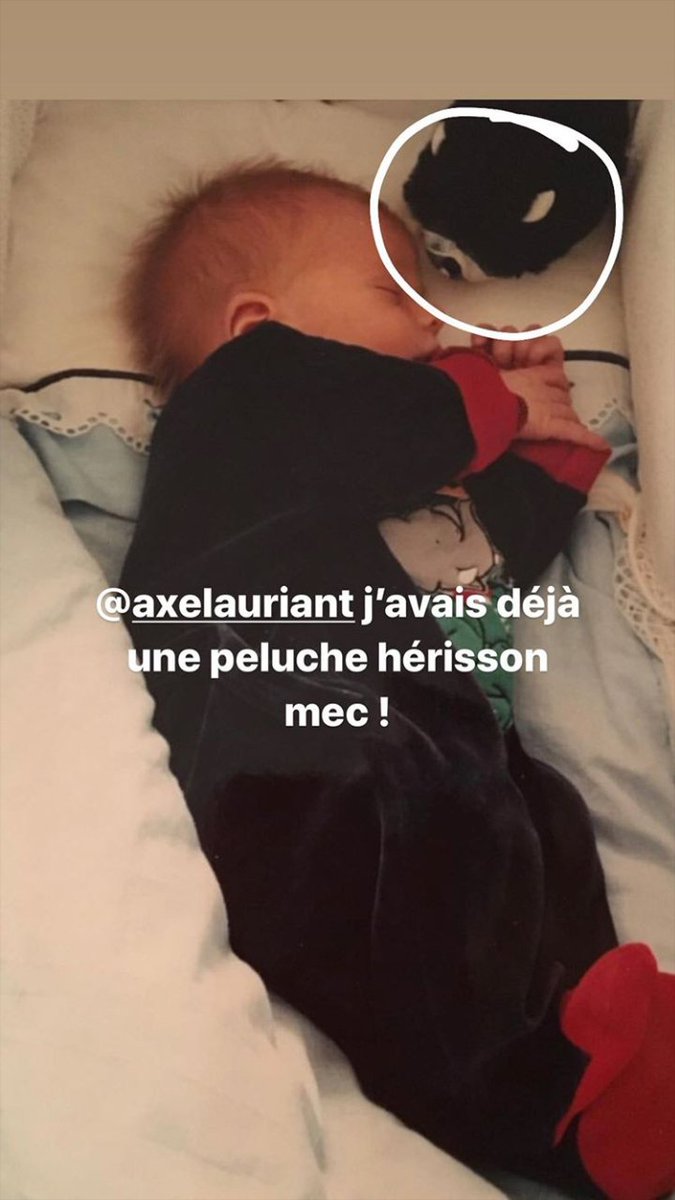 sweet reminder of the day : Maxence already had a hedgehog by his side, when he was just a baby.. #meanttobe #babyraccoon
