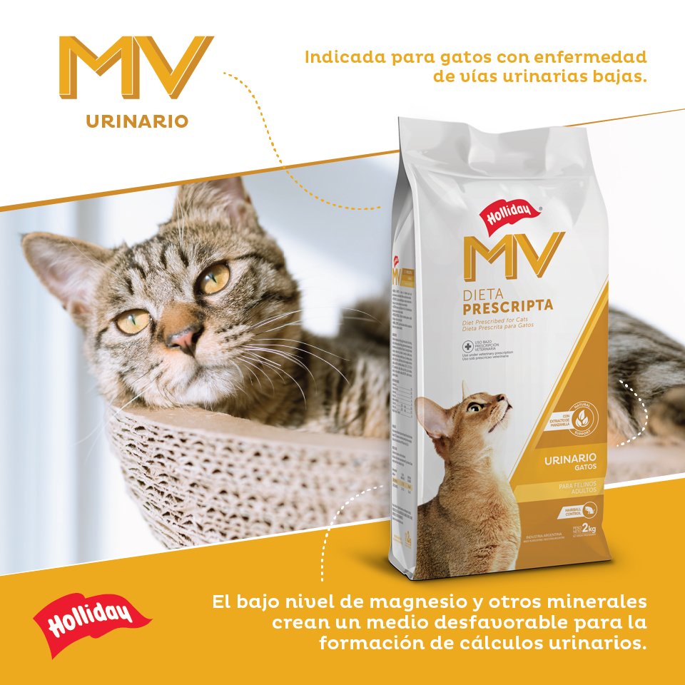 LabHolliday's tweet image. ¿Tu gato sufre problemas urinarios? MV Urinario previene la formación de cristales de estruvita o de oxalato de calcio ante factores predisponentes.

Consultá con su médico veterinario de confianza.

Para más información ingresá en dietasmv.com.ar/dietas/gatos/u…