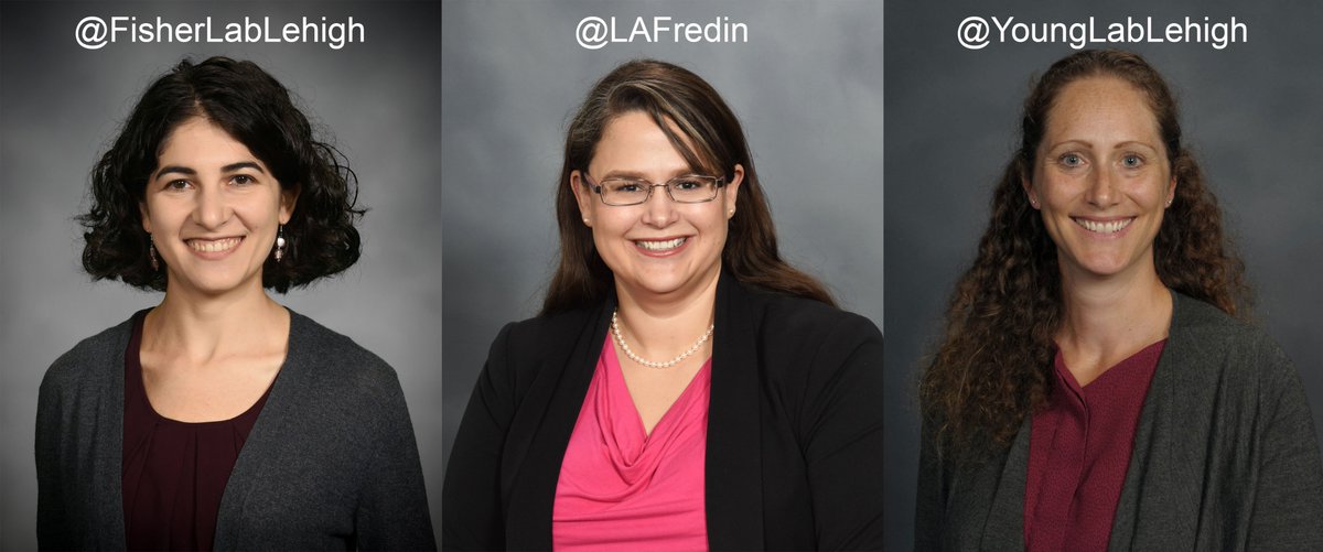 Congratulations to @FisherLabLehigh @LAFredin and @YoungLabLehigh on receiving Lehigh Class of '68 Faculty Fellowships! Campus may be closed but great research continues #womeninSTEM #lehighstrong #lehighresearch