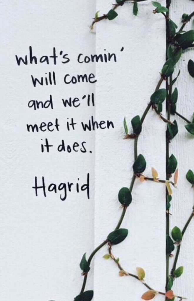 Kelly_Falkner's tweet photo. Lessons from the Harry Potter series...Hagrid speaks the truth. Let us meet this together and work together! @jk_rowling #hagrid #HarryPotter #StrongerTogether2020 https://t.co/Zi1vL2pqe5
