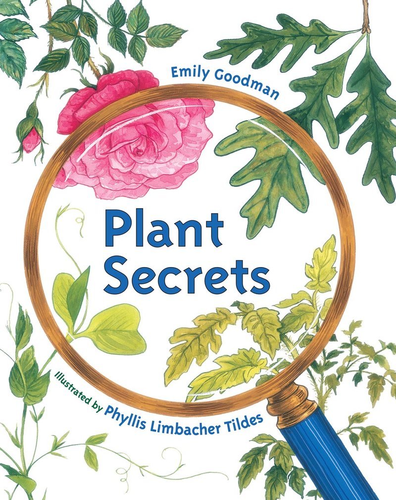 garddwest's tweet photo. GOING GREEN – Plant Secrets https://t.co/GHpDAEZZ26 https://t.co/tiODLtY3N5