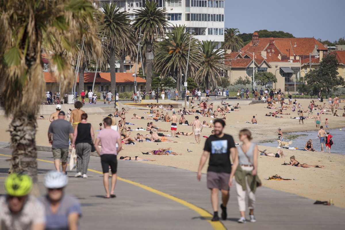 news.com.au tweet media