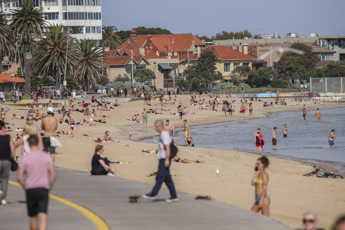 news.com.au tweet media