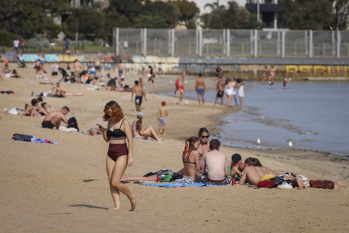 news.com.au tweet media