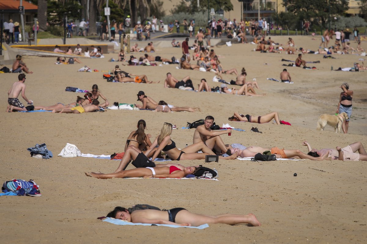 news.com.au tweet media