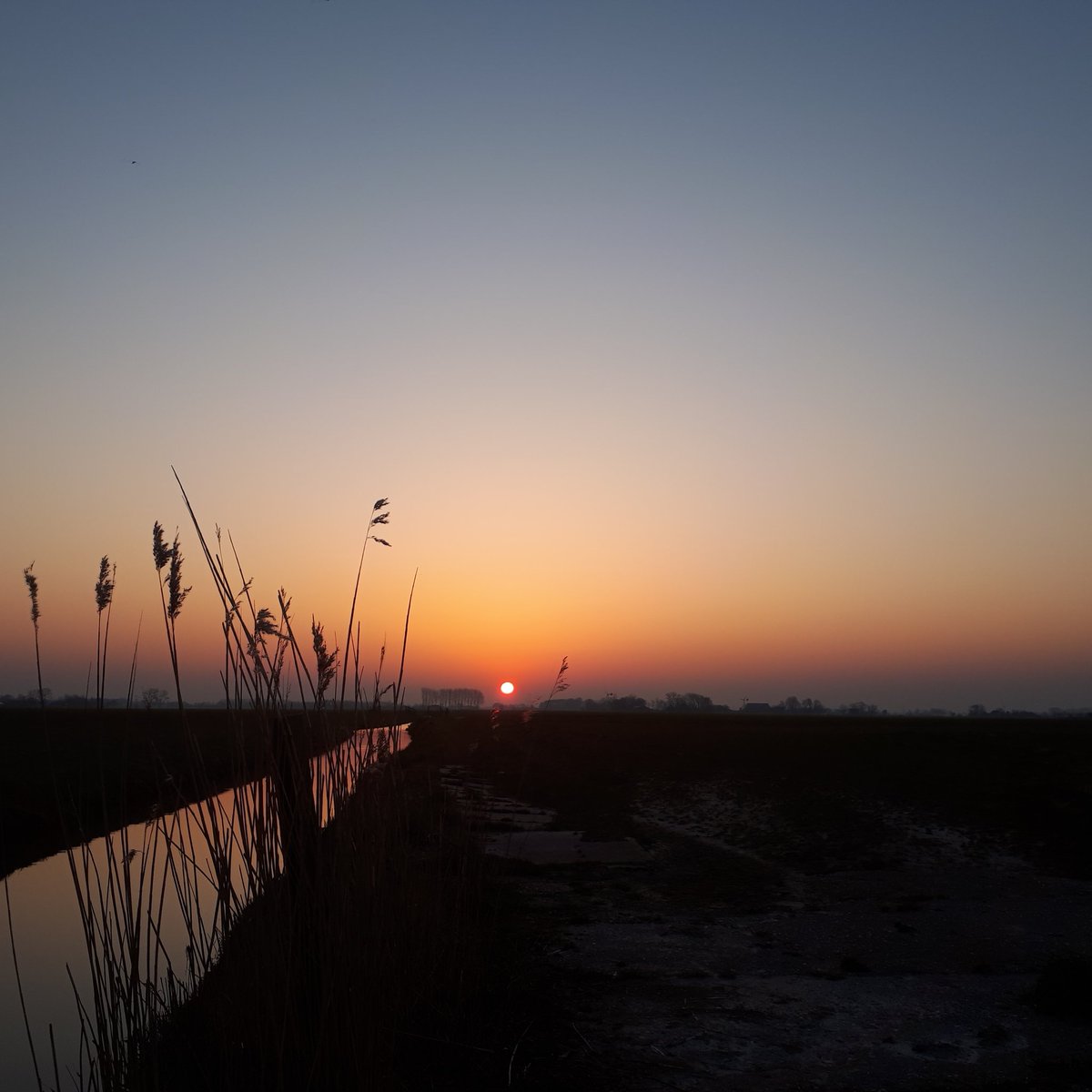 Goedemorgen #mooigrunn #winsum #nofilter #zonsopkomst #dingendiedoorgaan