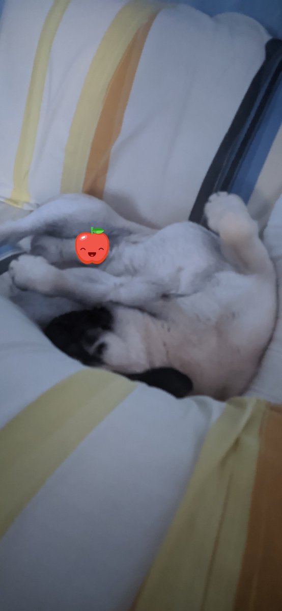 Ponete comodo total 3 almohadas al pedo