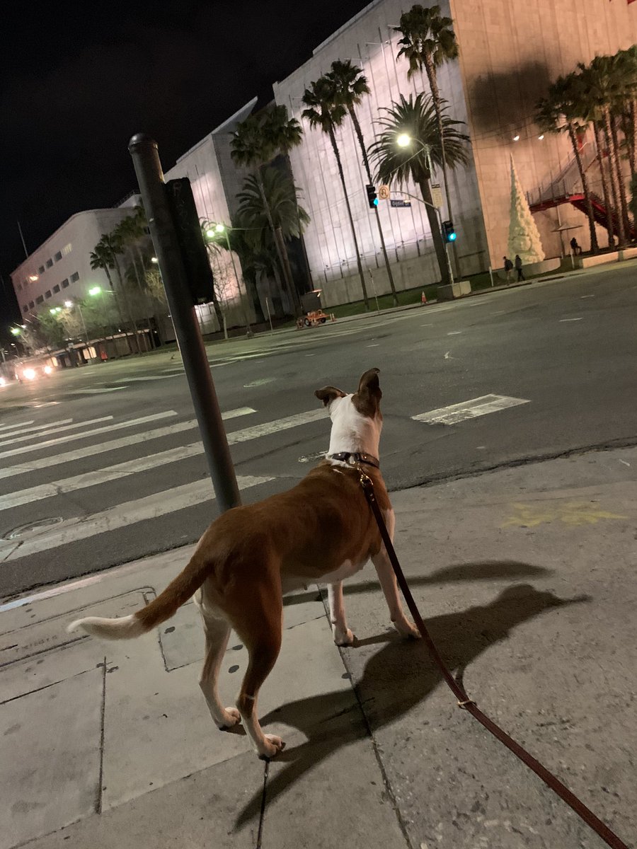japhygrant's tweet photo. @17days I feel like you’ll get this I’m out by LACMA tonight (live across the street) and put on “Ray of Light” from the start b/c it’s the album that takes me back to the future I used to believe in and I felt very raw and very alive. https://t.co/aeO920CdQ7