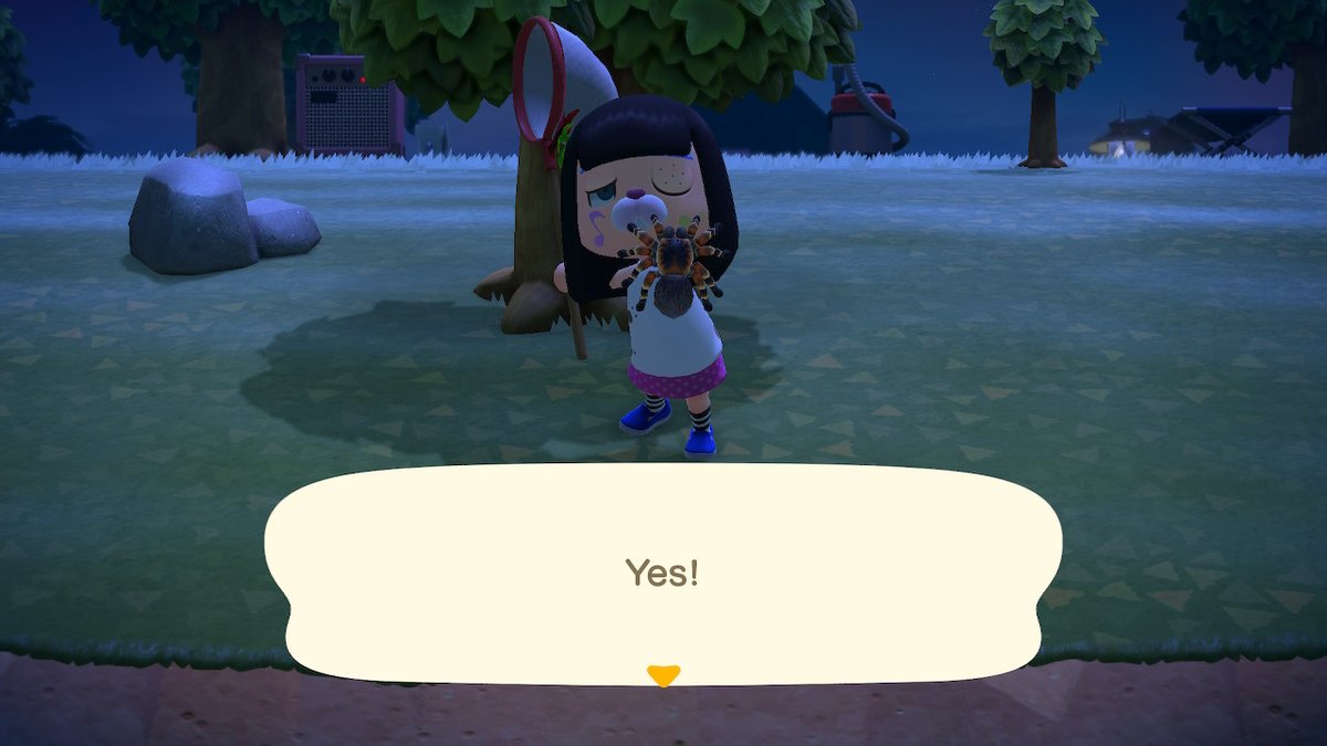 69Gobe69's tweet photo. #AnimalCrossing #ACNH #NintendoSwitch https://t.co/S496Nmk6vY