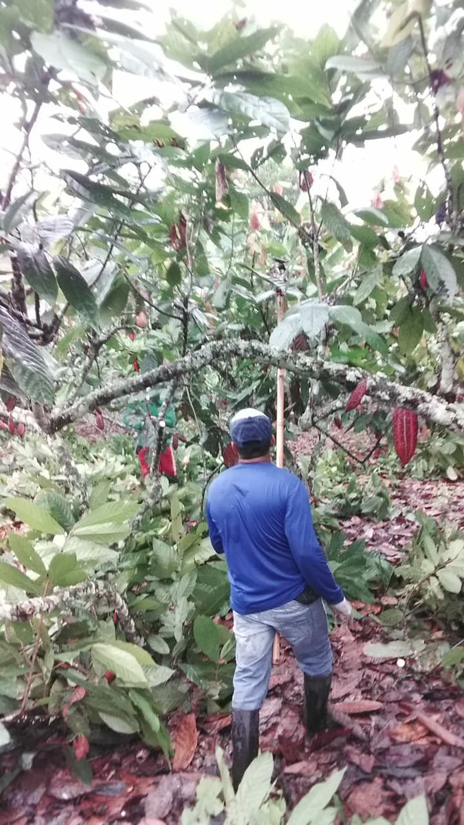 Lourdes052's tweet photo. Si el #campo  no produce la #Ciudad  no come https://t.co/uI0G2mJ5vB